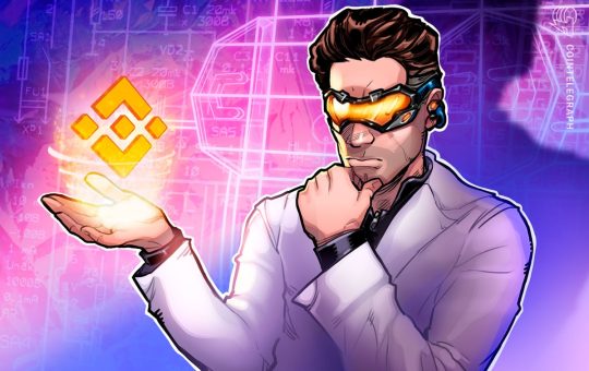 Binance's proof-of-reserves raises red flags: Report