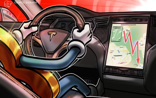 Bitcoin beats Tesla stock in 2022 as BTC price heads for 60% losses