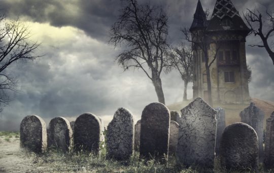 Crypto Supporters Sift Through the Graveyard of Technical Indicators That Failed to Predict Bitcoin’s Bottom