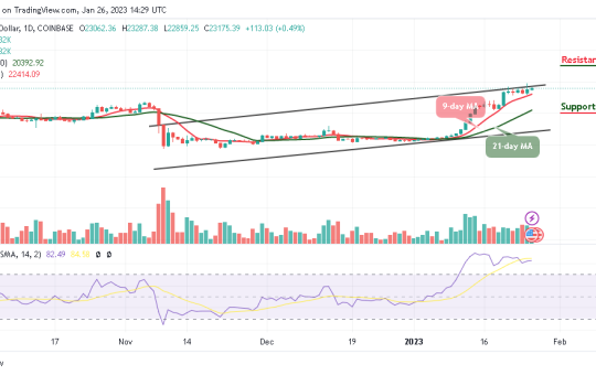 Bitcoin Price Prediction for Today, January 26: BTC/USD Looks For A Direction; Will $24k Come to Focus?