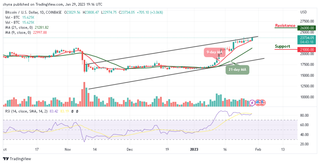 Bitcoin Price Prediction for Today, January 29: BTC/USD Bounces Near $24,000 Resistance Level