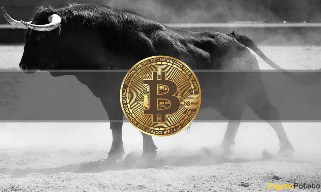 Erik Voorhees Predicts When the Next Bitcoin Bull Market Will Start