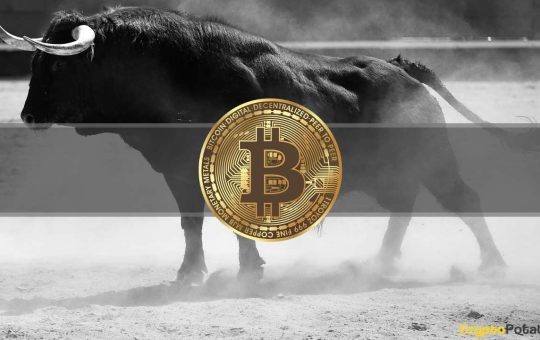Erik Voorhees Predicts When the Next Bitcoin Bull Market Will Start
