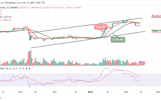 Bitcoin Price Prediction for Today, February 13: BTC/USD Falls 0.46% to 21,431 Support