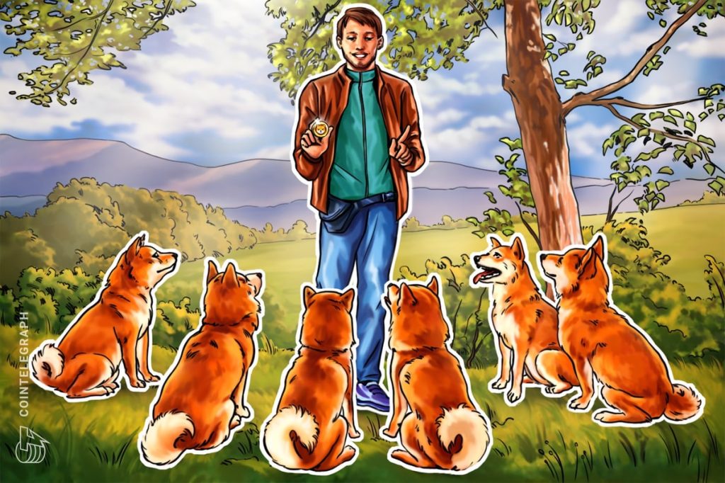 Will Shiba Inu tail Dogecoin’s price rally?