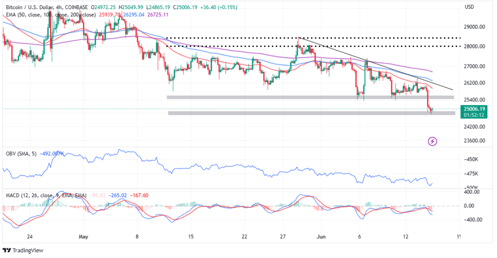 Why Bitcoin Whales Are Staying Calm Despite the SEC-Triggered Crypto Market Sell-off