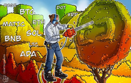 Price analysis 8/4: BTC, ETH, BNB, XRP, DOGE, ADA, SOL, MATIC, LTC, DOT