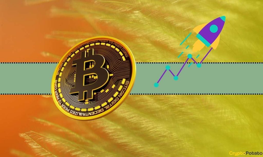 Bitcoin's Price is Pumping in the Past 24 Hours: Here's Why