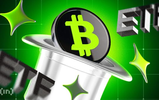 Grayscale CEO Anticipates Other Spot Bitcoin ETFs Might Not Survive
