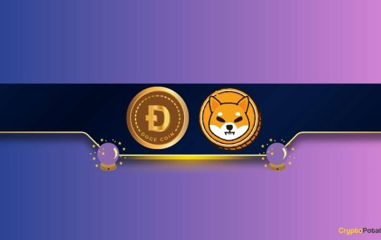 Are Dogecoin (DOGE) and Shiba Inu (SHIB) Poised for Further Gains? Popular Analyst Chips in